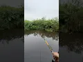 Download Lagu Memancing sama mama #shortvideo #mancing