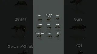 doggo out now