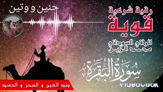 الرقيه الشرعيه الشيخ الزين محمد احمد علاج الحسد والعين والسحر وتفريج الهم والغم 