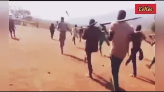 WBO Hararge Eeyba Xumura Lenjii 