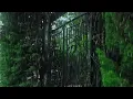 Heavy Rain on Leaves 48 Hours - SLEEP FAST Rain Sounds