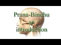 Download Lagu Prana Bindu - an Introduction