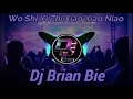 Download Lagu Wo Shi Yi Zhi Xiao Xiao Niao 我是一隻小小鳥 Remix By Dj Brian Bie