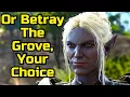 How to Start The Grove Defence in Act 1 of Baldur s Gate 3