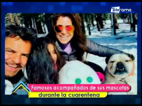 Famosos acompañados de sus mascotas durante la cuarentena