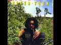 Peter Tosh - Why must I cry