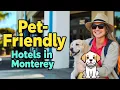 Best Pet Friendly Hotels in Monterey Best Stays for You Your Furry Friend