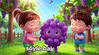 Renkler ve Meyveler Şarkısı 🍇🍈🍉🍎 Eğitici Çocuk Şarkıları 2026
