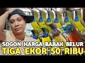 Download Lagu KEJUTAN LANGSUNG SOGON METATOL TIGA EKOR 50 RIBU TEPUS ABU 30 RIBU DI PASAR BURUNG PRAMUKA