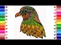 Eagle Coloring Pages - for KIDS