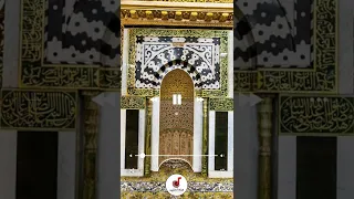 ذا الحب سلم دندنها
