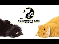 Siri Zwemke Author Executive Director of Siamese Cat Rescue Center