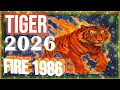 Tiger Horoscope 2026 Fire Tiger 1986 February 9 1986 to January 28 1987
