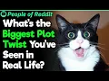 Real Life Plot Twists That Are Hard to Believe People Stories