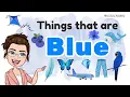 THINGS THAT ARE BLUE Learning Colors for Kids Blue Color Objects