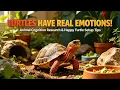 Turtles Have Real Moods Science Proves Reptiles Can Be Happy Or Stressed