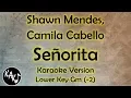 Lagu Shawn Mendes, Camila Cabello - Señorita Karaoke Lyrics Instrumental Cover Lower Key Gm