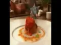 Disney Channel Argentina Ratatouille Promo (May 3, 2010)