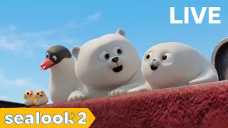 24/7 LIVE 🔴 Binge Watch BEST Episodes You Loved the Most | SEALOOK Official
