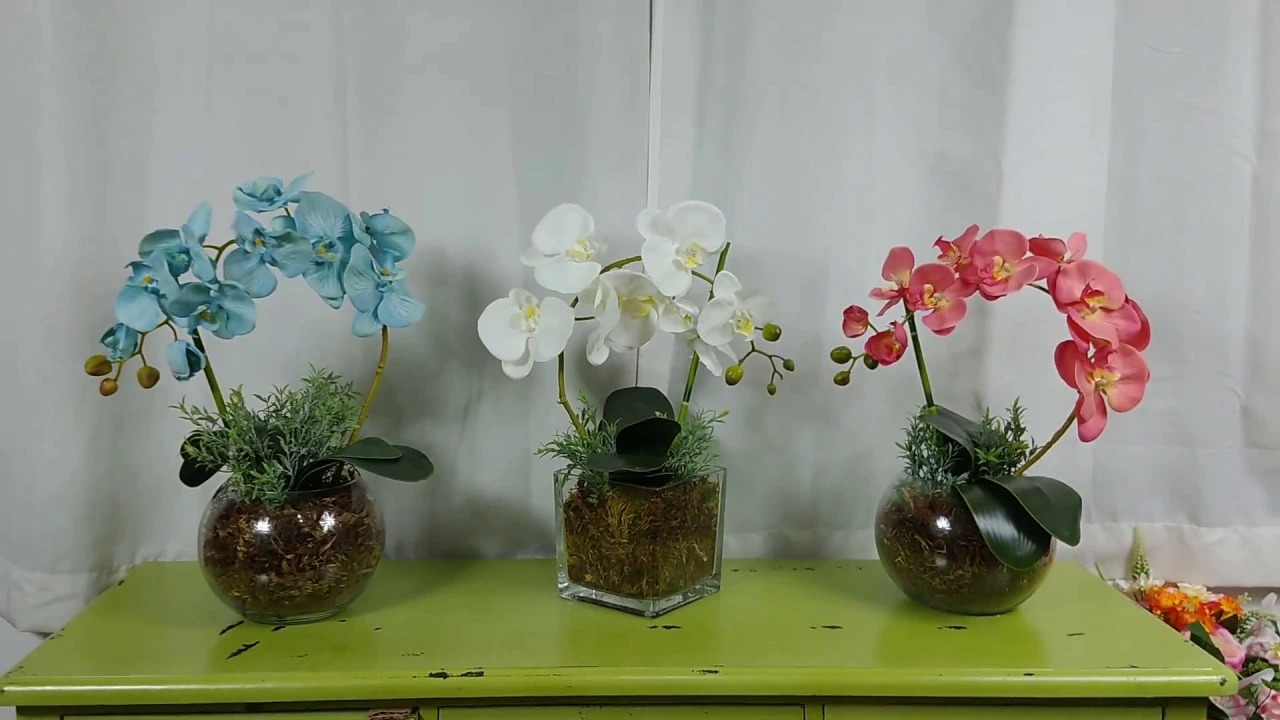 BONITO DECORA ARRANJOS DE ORQUÍDEA EM VASOS DE VIDRO