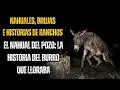 Lagu 7 Historias Reales de Brujas y Nahuales en Ranchos | Relatos Escalofriantes de la Comunidad Macabra