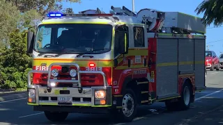 Gumtree on fire Caboolture South Brisbane Queensland