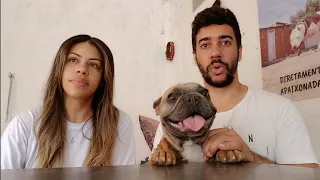 Os mundo dos cães pode ser diferente daqui um tempo 