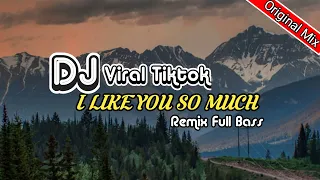 Download DJ I LIKE YOU SO MUCH | Viral tiktok (english version) MP3