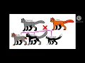 Firestars Family Tree
