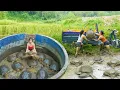 Lagu [Full Video] -- 266 Days Harvest A Lot Of Big Turtle At mud Pond Goes To Countryside Market Sell