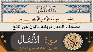 ختمة القران الكريم حدرا برواية قالون عن نافع سورة الأنفال كاملة القارئ عرفات الجميعي التونسي 