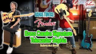 fender eross candra signature telecaster sephia review