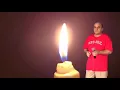 Maestro   Зелене жито