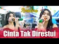 Download Lagu CINTA TAK DIRESTUI Maaf Mas...Amadera Terbaru - KALIMBA Music - CE Audio - Live Sawit Boyolali