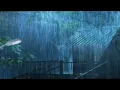 Download Lagu Suara hujan dan petir penghantar tidur || tidur nyenyak dan penghilang stress - suara katak jangkrik