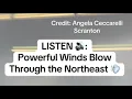 Powerful winds sweep across the northeast