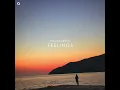Lagu Pablo Leo - Feelings