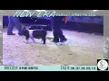 Perfect Timing Pig Sale - Oct-25
