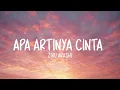 Zinu Arashi - Apa Artinya Cinta (Lirik Lagu)