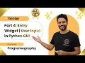 Tkinter part 4 Entry widget in Tkinter ll explain with example