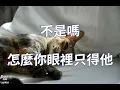 取消資格 - 陳小春 Jordan Chan（歌詞版）