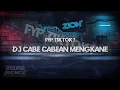 Lagu Fyp tiktok? dj cabe cabean mengkane [DAPP FX]