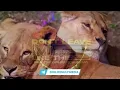 DON'T LEAVE ME LIKE THIS || MIN. THEOPHILUS SUNDAY