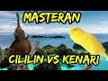 Download Lagu 🔥🔥MASTERAN CILILIN VS KENARI🔥🔥DI PERSEMBAHKAN UNTUK KICAU MANIA 🔥🔥