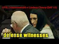 Lindsay Clancy Trial Day 15 - Patrick s Mom testifies Defense Experts 3d model