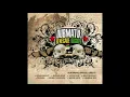 Dubmatix: Sub Dub