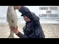 Is Surf Fishing BETTER at High Tide or Low Tide two s merged in one