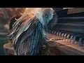 Arozin Sabyh - This World V2