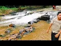 Lagu Lata Lang Buana Eco Resort Ulu Cherka, Jerantut Pahang