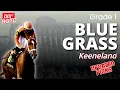 Class President SCRATCHED from Blue Grass DRF UPDATED PICKS